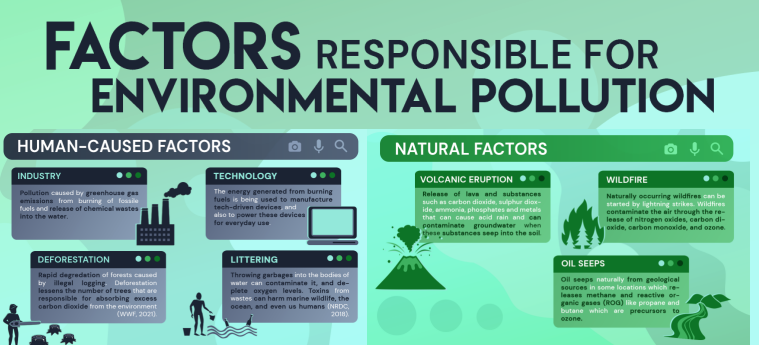 What Factors Are Responsible for Environmental Pollution?